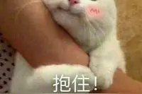 早报超有料丨《赤狐书生》陈立农李现陪你贺岁 艾伦沈腾上演奇幻喜剧图片