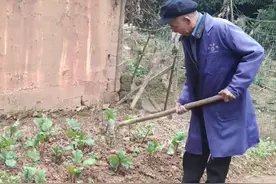 至诚至信！七旬老人坚守承诺，为儿子5年还债21万图片