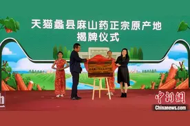 河北蠡县牵手阿里巴巴 打造“天猫麻山药原产地”图片
