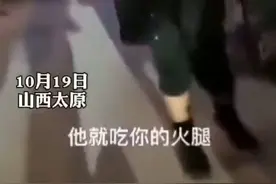 男子开水浇烫怀孕母猫，致腹中4只小猫全部死亡，已被解聘图片