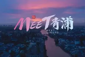 2021年上海市青浦区储备人才招聘和定向选调生招录公告图片