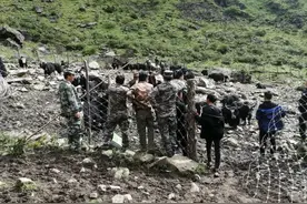 五名男子盗窃49头牦牛被捕，涉案价值达70余万元图片