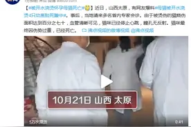 山西太原被开水浇烫怀孕母猫因伤势过重，已经死亡图片