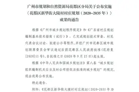【聚焦】大陵村最新规划！打造都市文旅、观光农业示范村图片