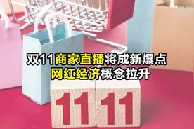 “双11”商家直播将成新爆点  网红经济概念股拉升视频封面