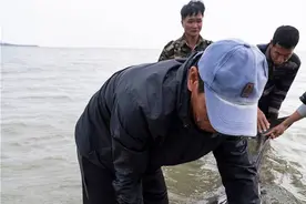 鲸类动物搁浅如何开展救助？专家：先判断身体状况再救援图片