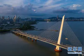 习近平总书记关切事丨我家大门常打开——经济特区全方位对外开放故事图片