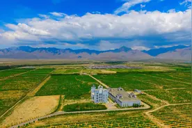 宁夏贺兰山东麓：打造闻名遐迩的“葡萄酒之都”图片