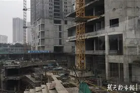 楼盘停工一年半急坏业主，开发商：下周将召开项目推进协调会图片