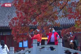 北京香山将迎满山红叶 观赏高峰从10月24日起视频封面