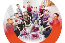 火龙果富了口袋富脑袋图片