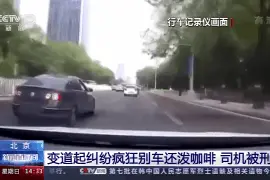 超速别车泼咖啡的车主判了 郭志坚：“路怒”是病，得用法治图片