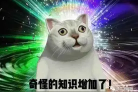 中老年人“龟蛇爬行”能健身？医生这样说图片