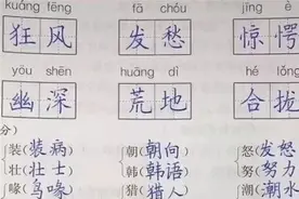 9岁男孩手写“印刷体”，怎么样帮孩子写一手好字？图片