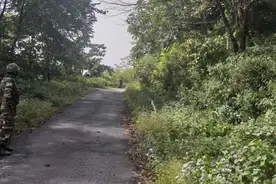 印度安全部队边境再遭武装分子伏击 印士兵一死一伤图片