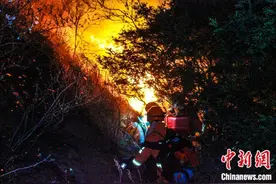 无数次直面火海，他们只有平安归来才敢给家里打电话图片