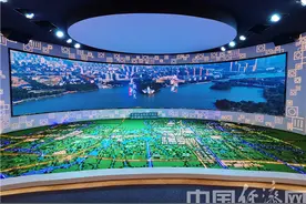 长三角“田园五镇”先行示范 平湖农业经开区打造协调发展“实验田”图片