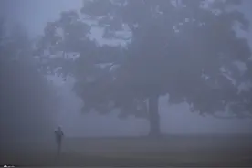 美国马萨诸塞州遭浓雾笼罩 伸手不见五指图片