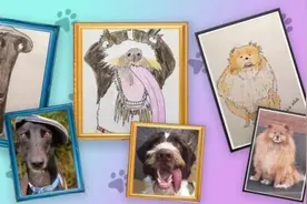 男子画搞笑宠物肖像走红网络 预约订单已爆满图片