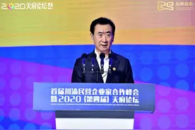 疫情之下企业如何生存？王健林：管理是企业竞争核心、企业家精神是关键图片