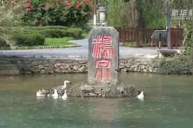 广西靖西：鹅泉让生活变“甘泉”视频封面