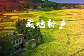 藏地新声|郎卡杰唐卡画师梦视频封面