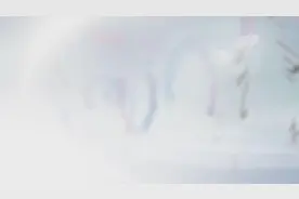 脑网络组图谱——认识人类大脑和脑疾病的利器图片