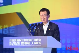 王健林建议川商少搓麻将，“赚辛苦钱、慢钱的时代来了”图片