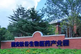 固安这十年图片