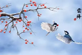 霜降到天转冷 一起来聊聊霜图片