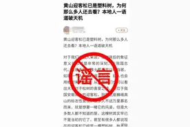 迎客松是塑料树、假树？黄山风景区发声明辟谣图片