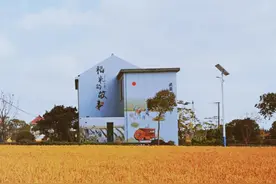 一块软糯的崇明桂花印糕，甜蜜间锁住今秋的记忆图片