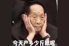 70岁以上也可以考驾照啦！袁隆平“全国仅此一例”的本本也可以换啦图片