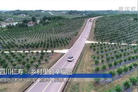乡村振兴|四川仁寿：乡村里的幸福图视频封面
