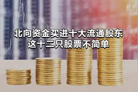 北向资金买进十大流通股东榜 这十二只股票不简单视频封面