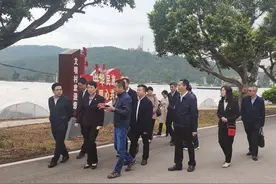 隋军在云南、重庆调研侨联工作图片