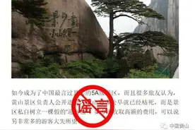 黄山风景区辟谣迎客松为塑料树，不容谣言的斧子砍向“国家名片”图片