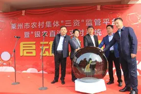 戴上“金箍”卡住“漏口”——莱州农村集体“三资”监管平台正式上线图片