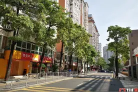 最近深圳街头弥漫的这种花香，有网友称“令人窒息”，专家释疑图片