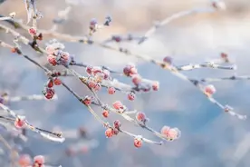 如果你越来越沉默，越来越不想说……图片