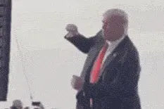 特朗普在TikTok上火了图片