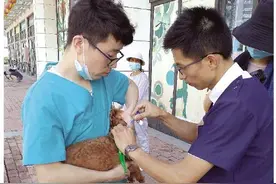 坪山区为居民免费办理犬只电子芯片植入图片