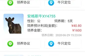“云养牛”App骗局：多家公司信息疑被冒用，以不存在的牛骗钱图片
