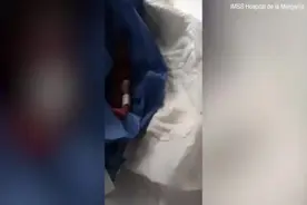 墨西哥一早产婴儿在停尸房冰箱存放6小时后被发现还活着图片