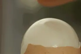 吃鸡蛋，还真不简单图片