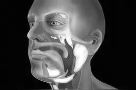 科学家发现人体新器官咽鼓管唾液腺 对癌症治疗中减少副作用具有重要意义图片