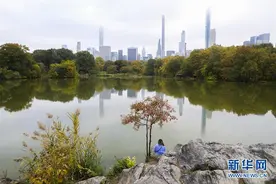秋到纽约图片