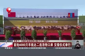 羊来了！  中国开始接收蒙古国3万只“捐赠羊”：首批4000只羊抵达二连浩特口岸  交接仪式举行视频封面
