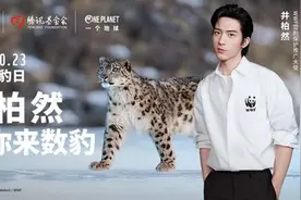 世界雪豹日，腾讯推“神秘雪豹在哪里”小程序，用AI助力雪豹保护图片