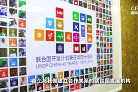 联合国开发计划署与中国合作四十年：从把西兰花引进中国到向其他国家推荐中国的脱贫经验图片